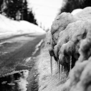 ����: ��������