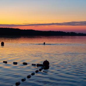 ����: ������ ����� �� �������