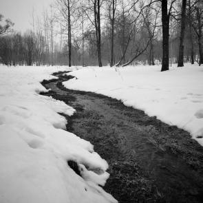 ����: ����� ���! 