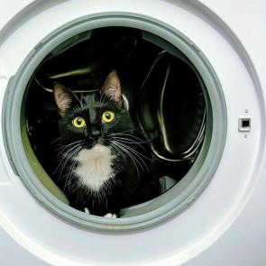 ����: ����� ������