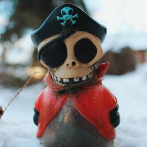 ����: � �������� �����������