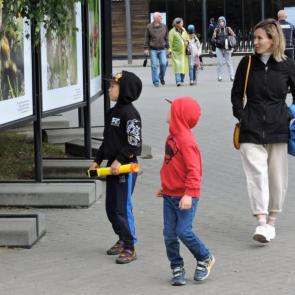 ����: ������������