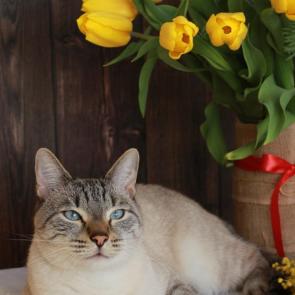 ����: �������� �����