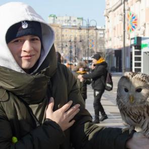 ����: ������� � �����.