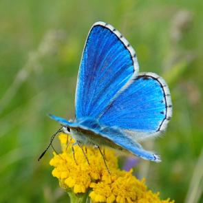 ����: ��������� ��������