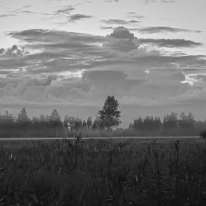 ���� ��������: ������� � �����-����� ��������