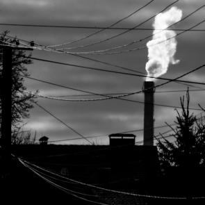 ����: �������