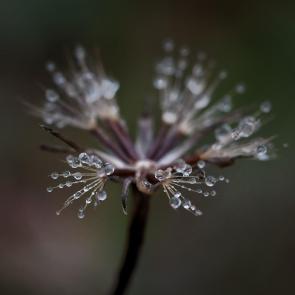 ����: ������� ���������...