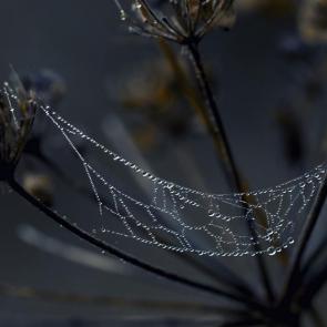 ����: ������� � ���������