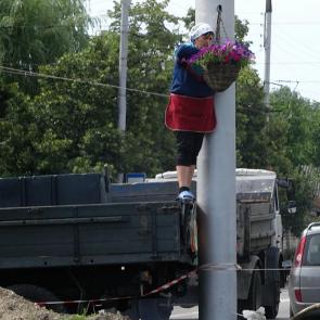 ����: ����� �������