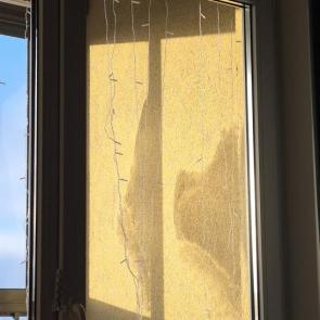 ����: � ���� ���� �������. � ��?