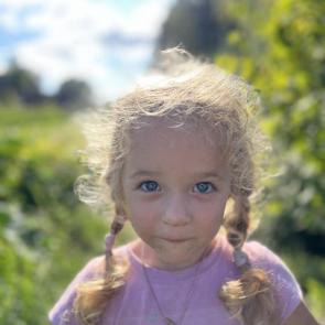 ����: � ������� � �������.