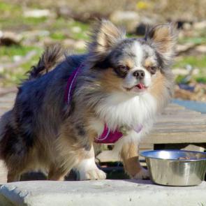 ���� ��������: ����� �������