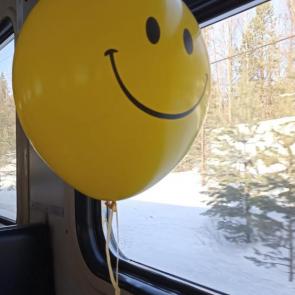 ����: �������� 