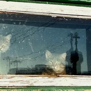 ������� �����