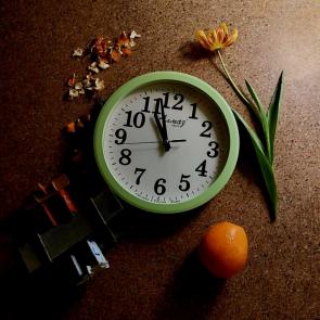 ����: ����� �����������