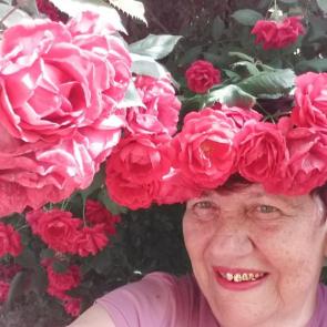 ���� ��������: 