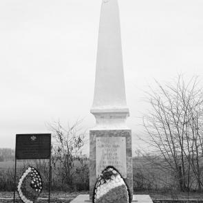 ���� ��������: �������������