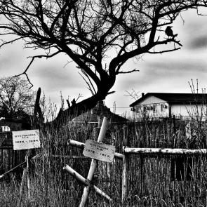 ����: �������� ������