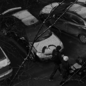 ����: ������ ��������