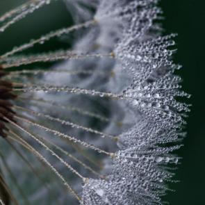 ����: ��������� � ��������� ����...