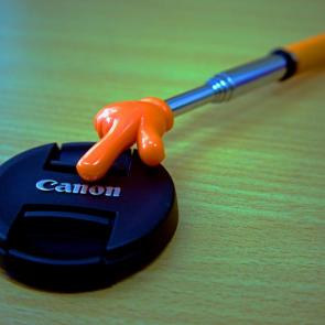 ����: ������