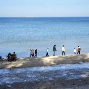 ���� ��������: ��������