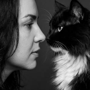 ����: �� � ��������� 