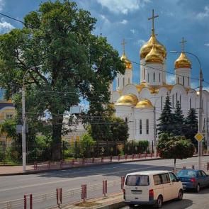 ����: ����� ������. 