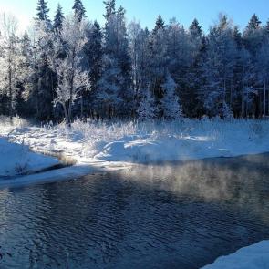 ���������� ��������� ���������