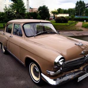 ����: �������