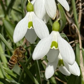 ����: ����� � �����������