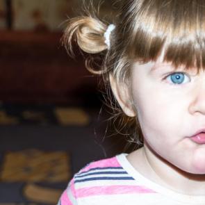 ���� ��������: ������ �������