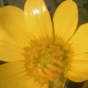 ���� ��������: �������� �����