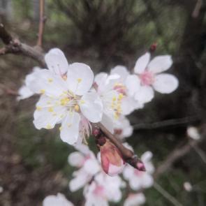 ���� ��������: 