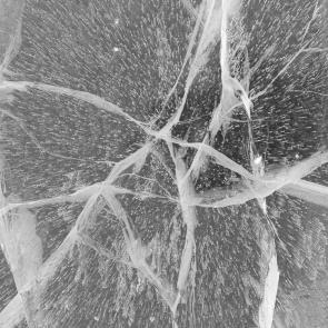 ����: �������� ����