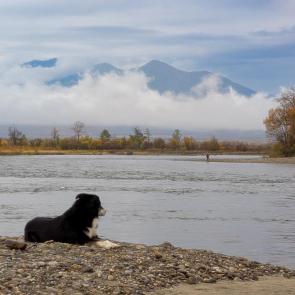 ����: ��� ����������� ������� � �������