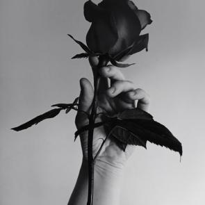 ���� ��������: 