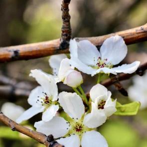 ����: ����� ��������� ������ ������ ������