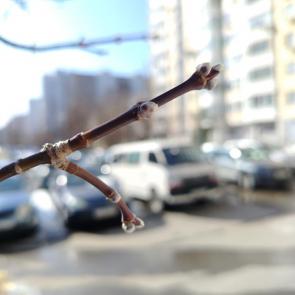 ����: ����� ����