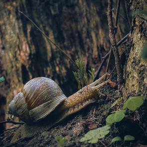 ����: �������� �����������