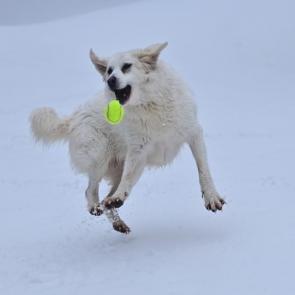 ���� ��������: ����������� ����� 