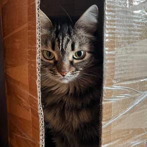 ����: ��������� ����� � ������ �������� 