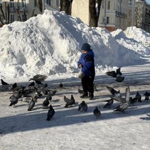 ��������� �������