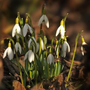 ���� ��������: ����� �����... 