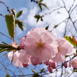 ����������