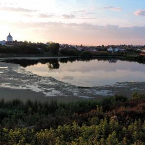 ����: �������� ����