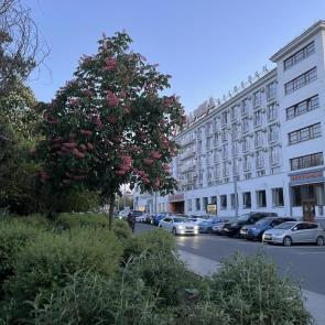 �������� �����