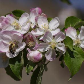 ����: ��������� ����