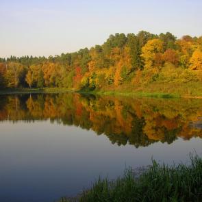 ����: ����� � �������������